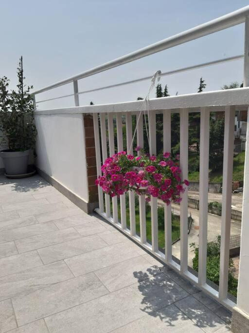 Casa Tra I Castelli San Martino Alfieri Exterior foto